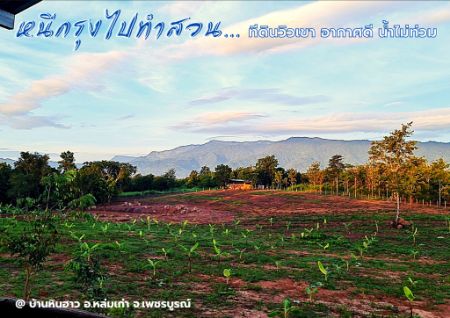 ขาย ที่ดิน บ้านหินฮาว 15 ไร่ 2 งาน 45 ตร.วา อากาศดีทั้งปี น้ำไม่ท่วม วิวเขาค้อ ภูทับเบิก ภูลมโล ล้อมรอบ รูปที่ 4