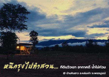 ขาย ที่ดิน บ้านหินฮาว 15 ไร่ 2 งาน 45 ตร.วา อากาศดีทั้งปี น้ำไม่ท่วม วิวเขาค้อ ภูทับเบิก ภูลมโล ล้อมรอบ รูปที่ 3