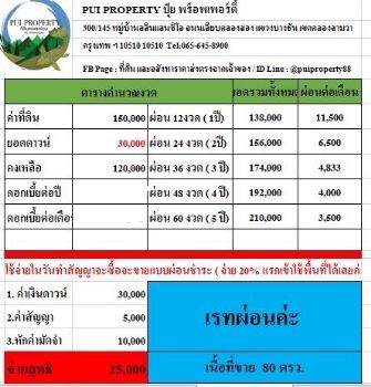 ขาย ที่ดิน ทำเลดี ผ่อนได้ สดได้โคกสำโรง 80 ตร.วา วิวเขา ท้องนา บรรยากาศร่มรื่น รูปที่ 2