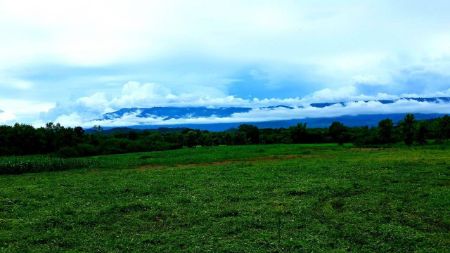 ขาย ที่ดิน วิวเขาค้อ ภูทับเบิก ภูลมโล ล้อมรอบภูทับเบิก 1 ไร่ โฉนดครุฑแดง ไฟฟ้าถึงที่ดิน รูปที่ 7