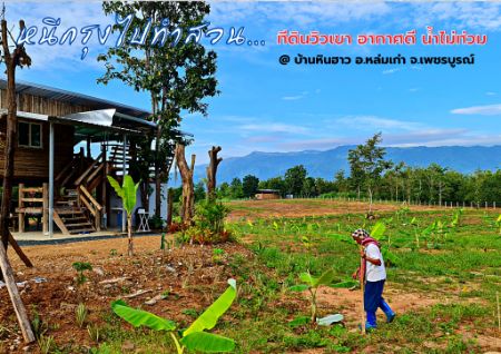 ขาย ที่ดิน บ้านหินฮาว 15 ไร่ 2 งาน 45 ตร.วา อากาศดีทั้งปี น้ำไม่ท่วม วิวเขาค้อ ภูทับเบิก ภูลมโล ล้อมรอบ รูปที่ 5