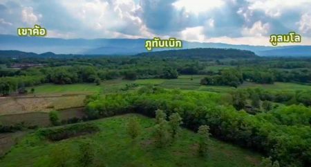 ขาย ที่ดิน วิวเขาค้อ ภูทับเบิก ภูลมโล ล้อมรอบภูทับเบิก 1 ไร่ โฉนดครุฑแดง ไฟฟ้าถึงที่ดิน รูปที่ 4