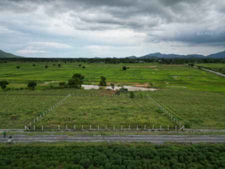 ขาย ที่ดิน ทำเลดี ผ่อนได้ สดได้โคกสำโรง 80 ตร.วา วิวเขา ท้องนา บรรยากาศร่มรื่น รูปที่ 6