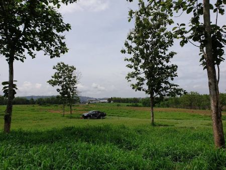 ขาย ที่ดิน วิวเขาค้อ ภูทับเบิก ภูลมโล ล้อมรอบภูทับเบิก 1 ไร่ โฉนดครุฑแดง ไฟฟ้าถึงที่ดิน รูปที่ 9