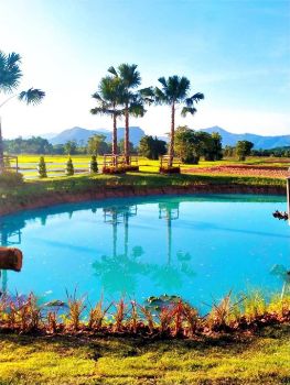 ขาย ที่ดิน โฉนดครุฑแดง ทำเลยอดนิยมMountain9 400 ตร.วา วิวภูเขาสวย อ้อมกอดแห่งขุนเขา รูปที่ 4