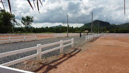 ขาย ที่ดิน วิวเขา โฉนดครุฑแดงพร้อมโอนเขาพระ 200 ตร.วา เหมาะสำหรับทำบ้านพัก ทำสวนเกษตร ทำพูลวิลล่า รูปที่ 5