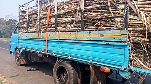 รับซื้อรถกระบะ รถบรรทุก ทุกรุ่น ทุกยี่ห้อ เก่า-ใหม่ รถดี รถเสีย เครื่องพัง น้ำดัน เกียร์พัง รูปที่ 6