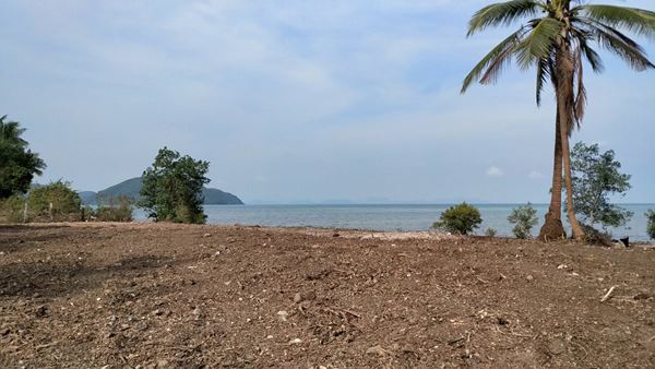 รหัส 9 พร้อมจับจอง ที่ดินริมทะเลติดหาดสมุย 6 ไร่ 3 งาน 87 ตร.ว. ดื่มด่ำวิวพระอาทิตย์ตก รูปที่ 4