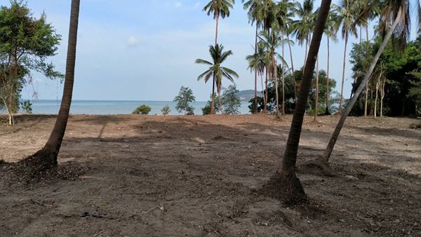 รหัส 9 พร้อมจับจอง ที่ดินริมทะเลติดหาดสมุย 6 ไร่ 3 งาน 87 ตร.ว. ดื่มด่ำวิวพระอาทิตย์ตก รูปที่ 6