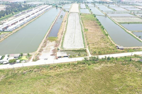 รหัสทรัพย์ 12 ขายที่ดิน ต.บ้านระกาศ อ.บางบ่อ จ.สมุทรปราการ 10-1-59 ไร่  ใกล้ถนนใหญ่บางนา-ตราด รูปที่ 4