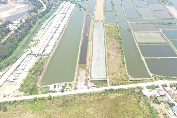 รหัสทรัพย์ 12 ขายที่ดิน ต.บ้านระกาศ อ.บางบ่อ จ.สมุทรปราการ 10-1-59 ไร่  ใกล้ถนนใหญ่บางนา-ตราด รูปที่ 3