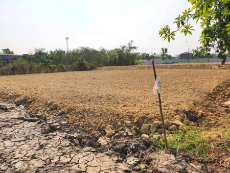 ขาย ที่ดินเปล่า 1 ไร่ พุทธมณฑล สาย 2  ถมให้ใหม่ระดับเสมอถนน รูปที่ 1