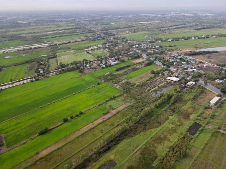 ขาย ที่ดิน โฉนดครุฑแดงฟรีค่าโอนวังน้อย 100 ตร.วา ที่ดินแบ่งแปลงทำเลดีเงินสด เงินผ่อน รูปที่ 4