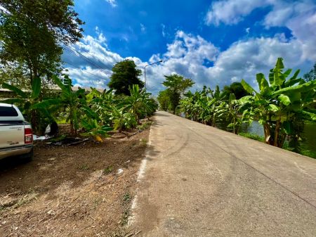 ขาย ที่ดิน โฉนดครุฑแดงฟรีค่าโอนวังน้อย 100 ตร.วา ที่ดินแบ่งแปลงทำเลดีเงินสด เงินผ่อน รูปที่ 8