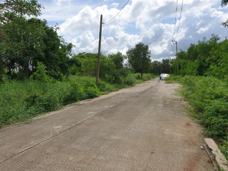ขาย ที่ดิน ถมแล้ว กฤษดานคร25 3 งาน 76 ตร.วา ใกล้สนามกล์อฟธานนท์ รูปที่ 6