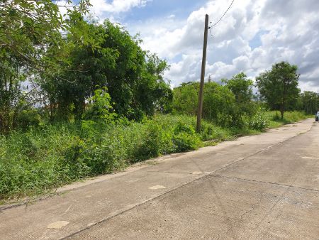 ขาย ที่ดิน ถมแล้ว กฤษดานคร25 3 งาน 76 ตร.วา ใกล้สนามกล์อฟธานนท์ รูปที่ 4