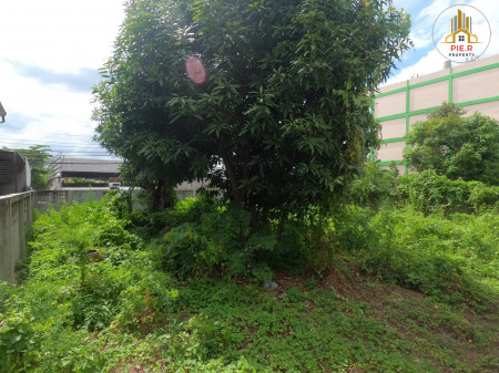 ที่ดินถนนกาญจนาภิเษก บางแค(ติดถนนทั้ง2ด้าน) 75.2 ตร.วา รูปที่ 6