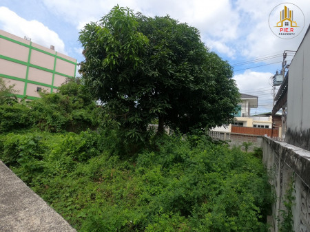 ที่ดินถนนกาญจนาภิเษก บางแค(ติดถนนทั้ง2ด้าน) 75.2 ตร.วา รูปที่ 7