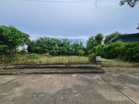 ขายที่ดิน ถมแล้ว หมู่บ้านเลควิวพาร์คซอย26 127 ตร.วา เหมาะสร้างบ้าน รูปที่ 5