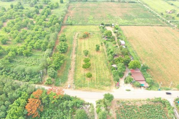 รหัสทรัพย์ 16 ขายที่ดิน 8 ไร่ ต.หมูสี อ.ปากช่อง จ.นครราชสีมา อยู่ตรงข้ามกับ Khao Yai Paradise on Earth รูปที่ 7