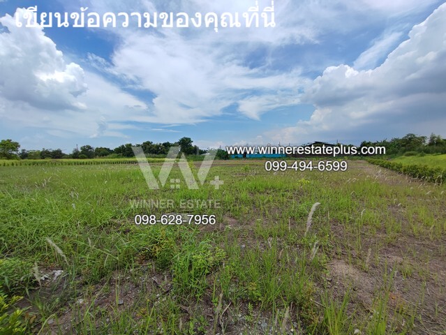 ขายที่ดินจัดสรร ที่ดินคลองหลวง ที่ดินคลองสี่  ซอย 10 ขนาด 1 ไร่กว่า ติดคลอง  ถูกมาก ตรว หลักพัน  รูปที่ 1