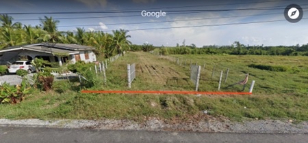 ขาย ที่ดิน สวนปาล์ม เมืองนครศรีธรรมราช 50 ไร่ ปลูกเต็มพื้นที่ ซื้อปุ๊บรับรายได้หลักแสนต่อเดือนทันที เหมาะทำโครงการจัดสรร รูปที่ 3