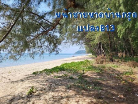ขาย ที่ดิน ใกล้ทะเลเพียง 300 เมตร วิวชายหาดสวยทะเลบ้านกรูด 100 ตร.วา มีถนนลาดยางอยู่หน้าโครงการ และไฟฟ้าอยู่หน้าแปลง รูปที่ 5