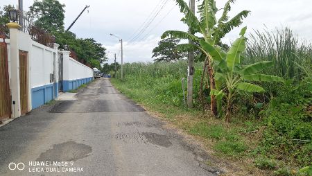 ขาย ที่ดิน ใกล้ ถ.กาญจนาภิเษก-พุทธมณฑลสาย2 1 ไร่ เหมาะสร้างบ้านพัก โกดัง ออฟฟิต รูปที่ 4