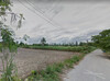 รูปย่อ ขายที่ดินบ้านบึง 3 ไร่ ติดถนนลาดยาง ใกล้ถนนเส้น 344 - 800 เมตร หนองอิรุณ จ.ชลบุรี รูปที่6