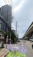 ขายที่ดิน 3-3-06 ไร่  ติดถนนรัตนาธิเบศน์ -สร้างคอนโดได้ 30 ชั้น