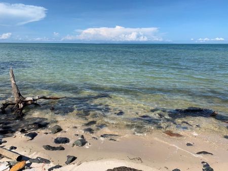 ขาย ที่ดิน โฉนดครุฑแดงคลองใหญ่ 1 ไร่ วิวสวย เหมาะทำรีสอร์ท รูปที่ 3