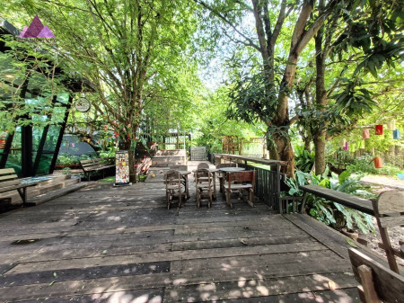 ขาย ที่ดิน ขายด่วน!ราคาถูก! ค่าเฟ่และร้านอาหาร อ.พนมสารคาม 6 ไร่ ค่าเฟ่และร้านอาหาร  ติดคลองสียัด บรรายากาศดีมาก พร้อมห้องสัมนา สระว่ายน้ำ รูปที่ 4