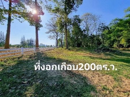 ขาย ที่ดิน ริมแม่น้ำ โฉนดครุฑแดงที่ดินแก่งกระจาน 366 ตร.วา เนื้อที่ 366 ตรว. ยังไม่รวมพื้นที่งอกอีก 200 ตรว. คุ้มค่าสุดๆ รูปที่ 2