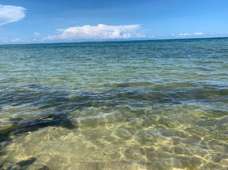 ขาย ที่ดิน โฉนดครุฑแดงคลองใหญ่ 1 ไร่ วิวสวย เหมาะทำรีสอร์ท รูปที่ 8
