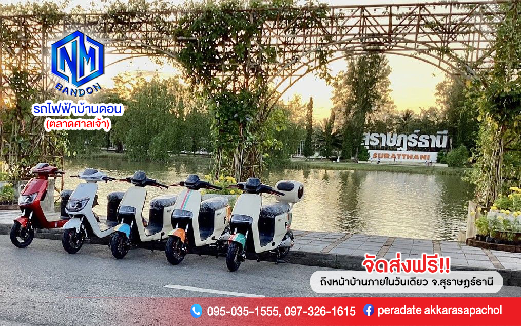 รถไฟฟ้าบ้านดอนสุราษฎร์ธานี รูปที่ 4