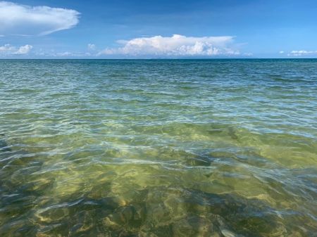 ขาย ที่ดิน โฉนดครุฑแดงคลองใหญ่ 1 ไร่ วิวสวย เหมาะทำรีสอร์ท รูปที่ 4