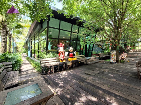 ขาย ที่ดิน ขายด่วน!ราคาถูก! ค่าเฟ่และร้านอาหาร อ.พนมสารคาม 6 ไร่ ค่าเฟ่และร้านอาหาร  ติดคลองสียัด บรรายากาศดีมาก พร้อมห้องสัมนา สระว่ายน้ำ รูปที่ 3