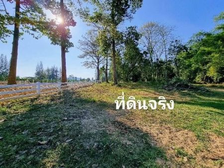 ขาย ที่ดิน ริมแม่น้ำ โฉนดครุฑแดงที่ดินแก่งกระจาน 366 ตร.วา เนื้อที่ 366 ตรว. ยังไม่รวมพื้นที่งอกอีก 200 ตรว. คุ้มค่าสุดๆ รูปที่ 3