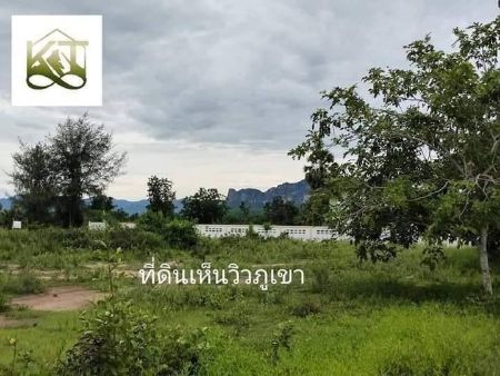 ขาย ที่ดิน เอกสารกรรมสิทธิ์ โฉนดครุฑแดงชะอำ 100 ตร.วา ที่ดินตัวเมืองชะอำห่างทะเล 500เมตร รูปที่ 5