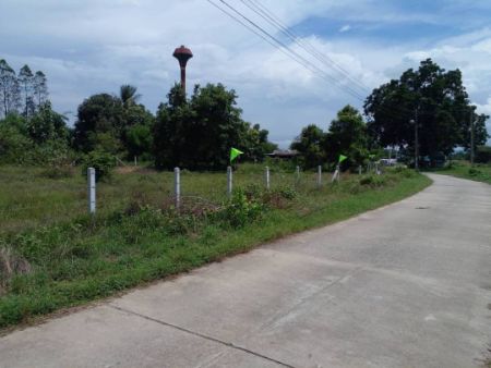 ขาย ที่ดิน โฉนดครุฑแดง  พร้อมโอน ฟรีโอนสระกระโจม 1 ไร่ มีน้ำไฟ ใกล้แหล่งชุมชน รูปที่ 5