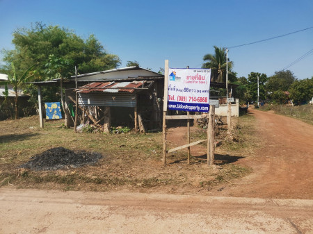 ขาย ที่ดิน ติดโรงเรียนดอนกลอย อ.พิบูลย์รักษ์ ที่ดินพร้อมสิ่งปลูกสร้าง 98 ตร.วา เดินทางสะดวก รูปที่ 1