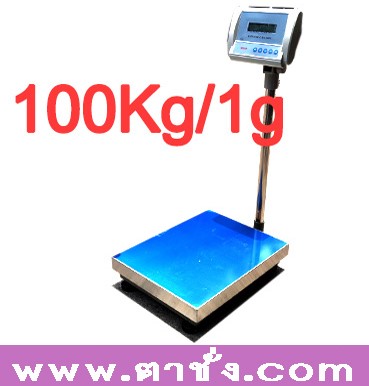 ตาชั่งดิจิตอล เครื่องชั่งแบบตั้งพื้น 100kg ละเอียด1g Iron Frame Floor Weighing Scale WT1003L คุณภาพสูง ยี่ห้อ WANT รูปที่ 1