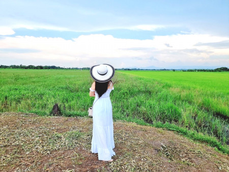 ขายที่ดินเปล่า ทำบ้านสวนเกษตร ราคาถูก 3 ไร่ 2 ล้าน ขุดโคกหนองนาให้ฟรี รูปที่ 1