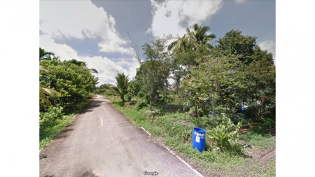 ขาย ที่ดิน สวนทุเรียน ระยอง 2 ไร่ ได้รายได้ทันที รูปที่ 3