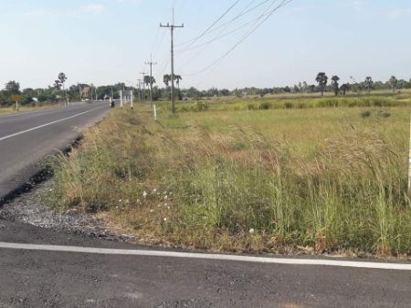 ขาย ที่ดิน แปลงสวย พิกัดต.ดอนตะหนิน อ.บัวใหญ่ นครราชสีมา 3 ไร่ ติดถนน 2 ด้าน รูปที่ 1