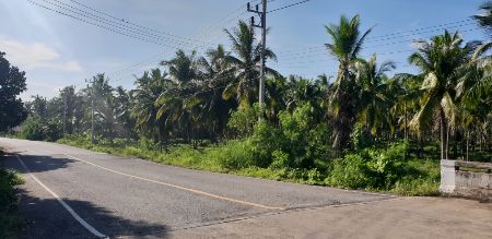 ขาย ที่ดิน 18 ไร่ ติดแม่น้ำ และถนนดำ ในบาง ต.ลีเล็ด อ.พุนพิน อ.เมืองสุราษฎร์ธานี รูปที่ 1