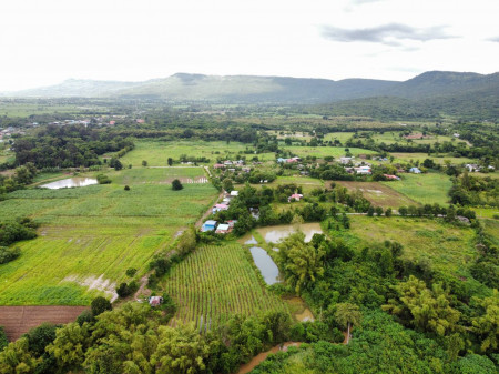 ขาย ที่ดิน เขาใหญ่ ต.วังไทร อ.ปากช่อง 4 ไร่ ติดน้ำ แถมวิวเขา หายากมาก รูปที่ 1