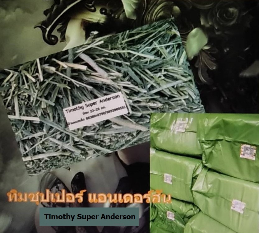 ทิโมธี ซุปเปอร์ แอนเดอร์สัน สุดยอดหญ้าทิโมธีสำหรับม้า กระต่าย แพรี่ด็อกซ์ เต่า แพะ แกะ ก้านหนามาก ใบใหญ่ เขียว ดอกยาวเยอะ Tel.0830940708, 0892009591, Line ID :0830940708 Google Map : Alfalfa by Dr.Vet / Future Click Co.,Ltd. Website : http://futureclick.lnwshop.com/ รูปที่ 2