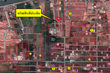 ขาย ที่ดิน ติดถนนซอยย่อย ที่ดินปทุมธานี 46 ตร.วา ที่ดินถมแล้ว รูปที่ 5