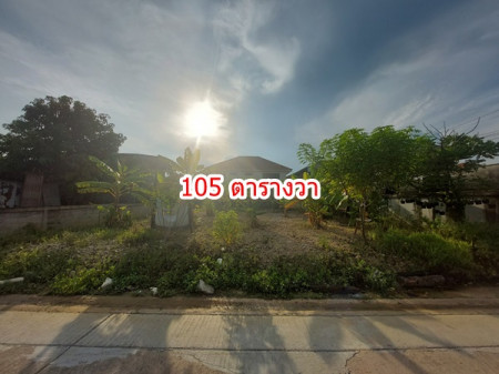 ขายด่วน ที่ดิน ถมแล้ว 105ตรว. ซ.หล่อพระ ถ.บางแวก บางไผ่ บางแค ใกล้ ถนนกาญจนาภิเษก รูปที่ 1